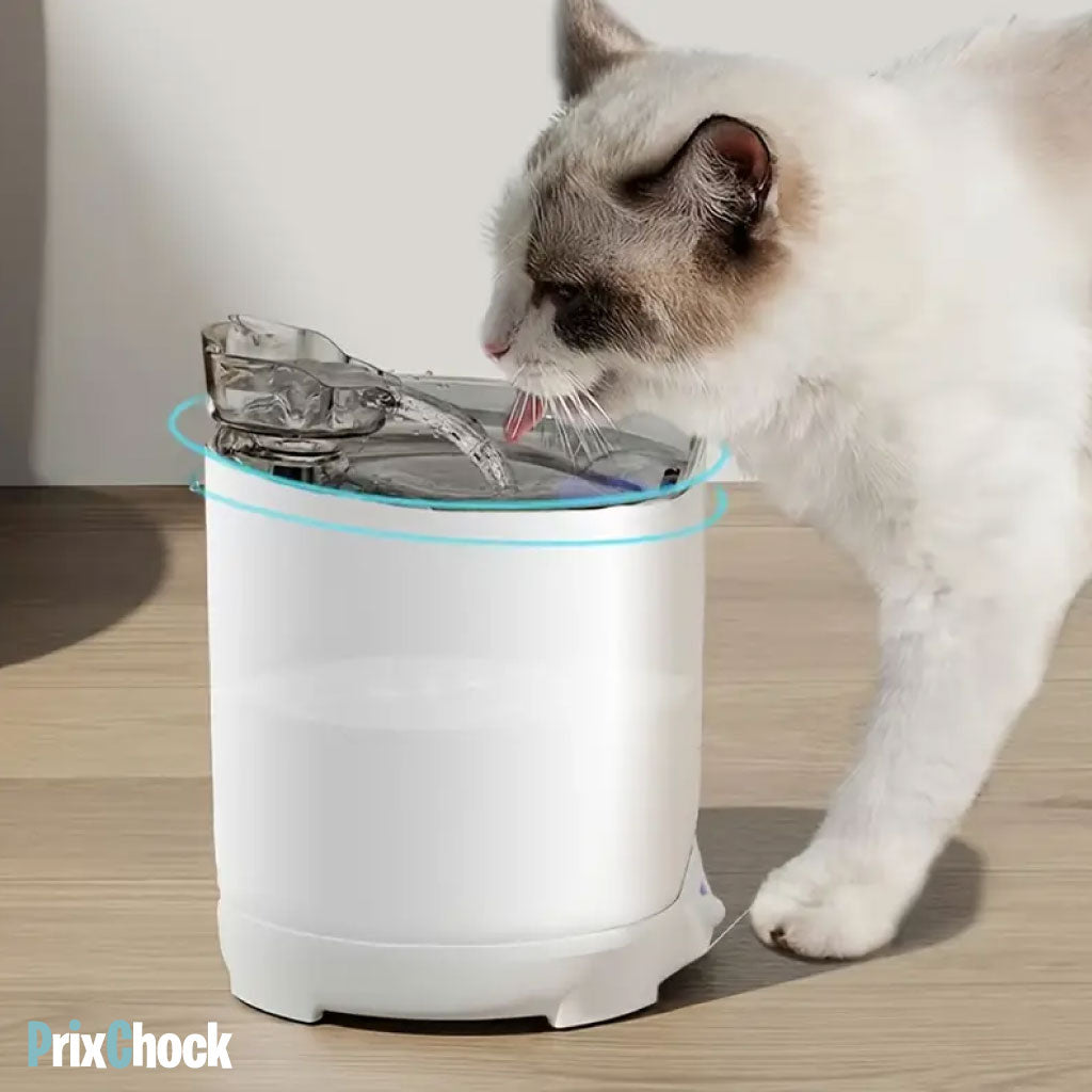 Fontaine à Eau pour Chat avec Détecteur de Mouvement – Hydratation Facile et Sûre