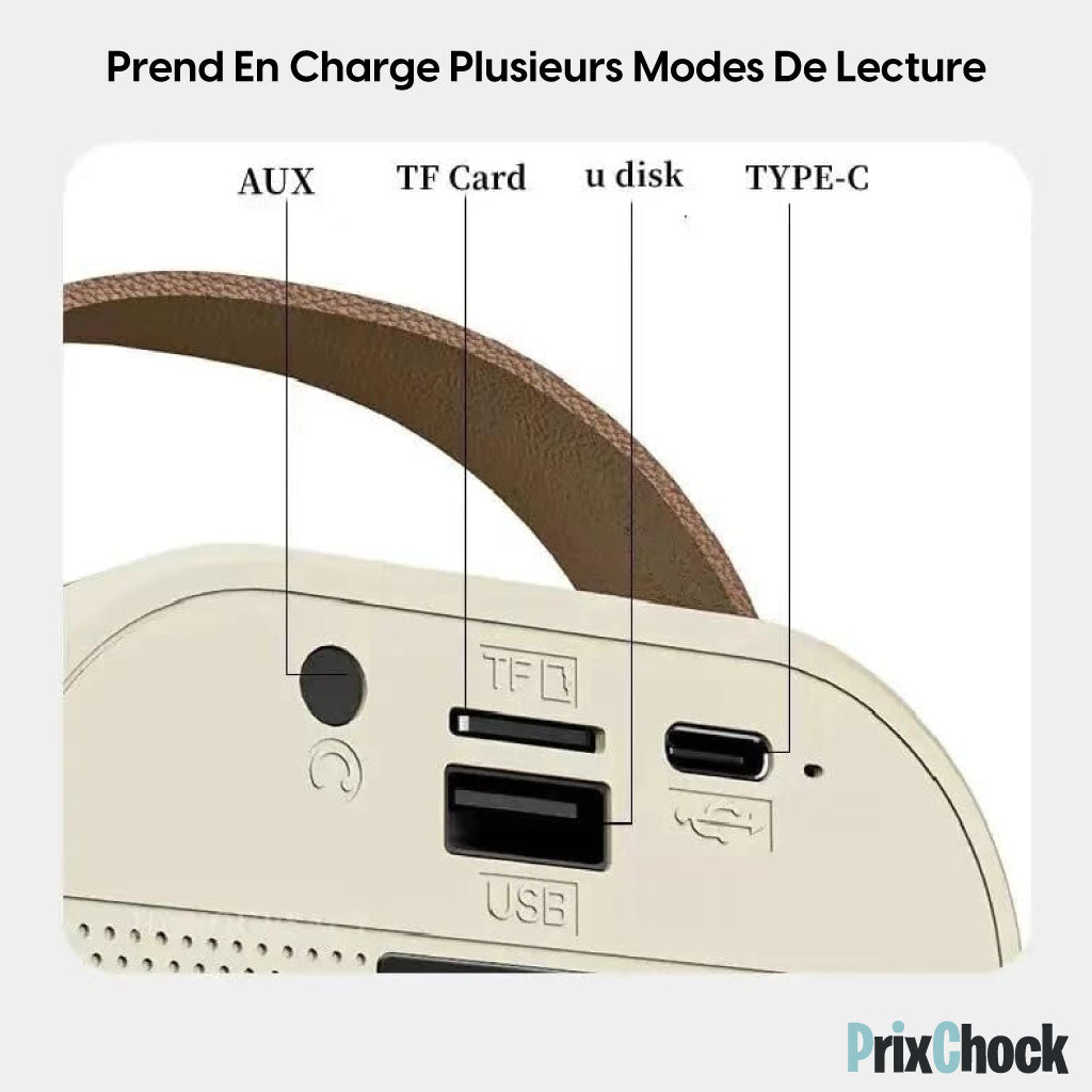 Mini-haut-parleur Portable Karaoké : Musique Et Amusement À Emporter Avec Deux Microphones