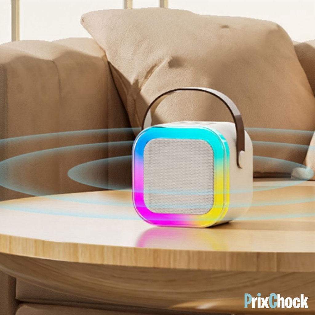 Mini-haut-parleur Portable Karaoké : Musique Et Amusement À Emporter Avec Deux Microphones
