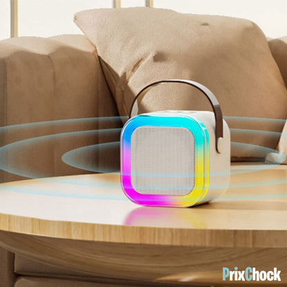 Mini-haut-parleur Portable Karaoké : Musique Et Amusement À Emporter Avec Deux Microphones