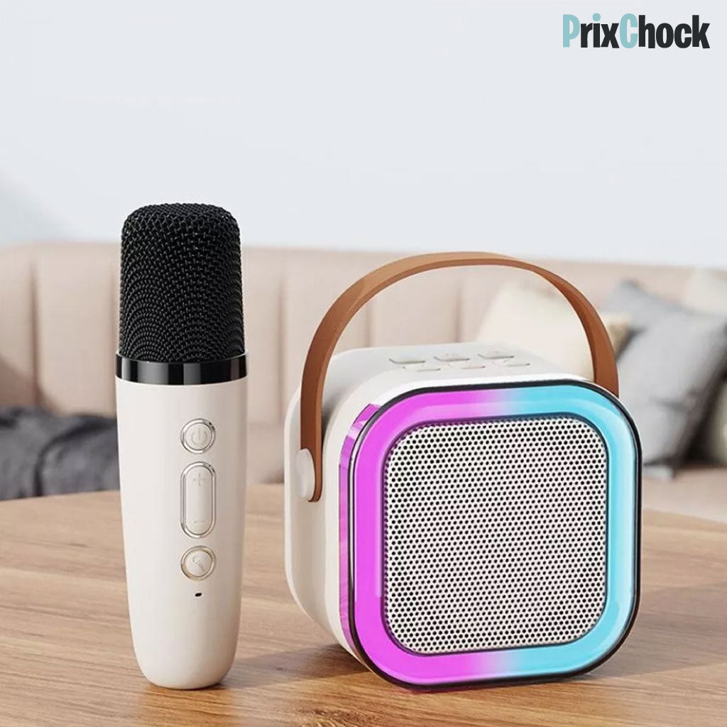 Mini-haut-parleur Portable Karaoké : Musique Et Amusement À Emporter Avec Deux Microphones