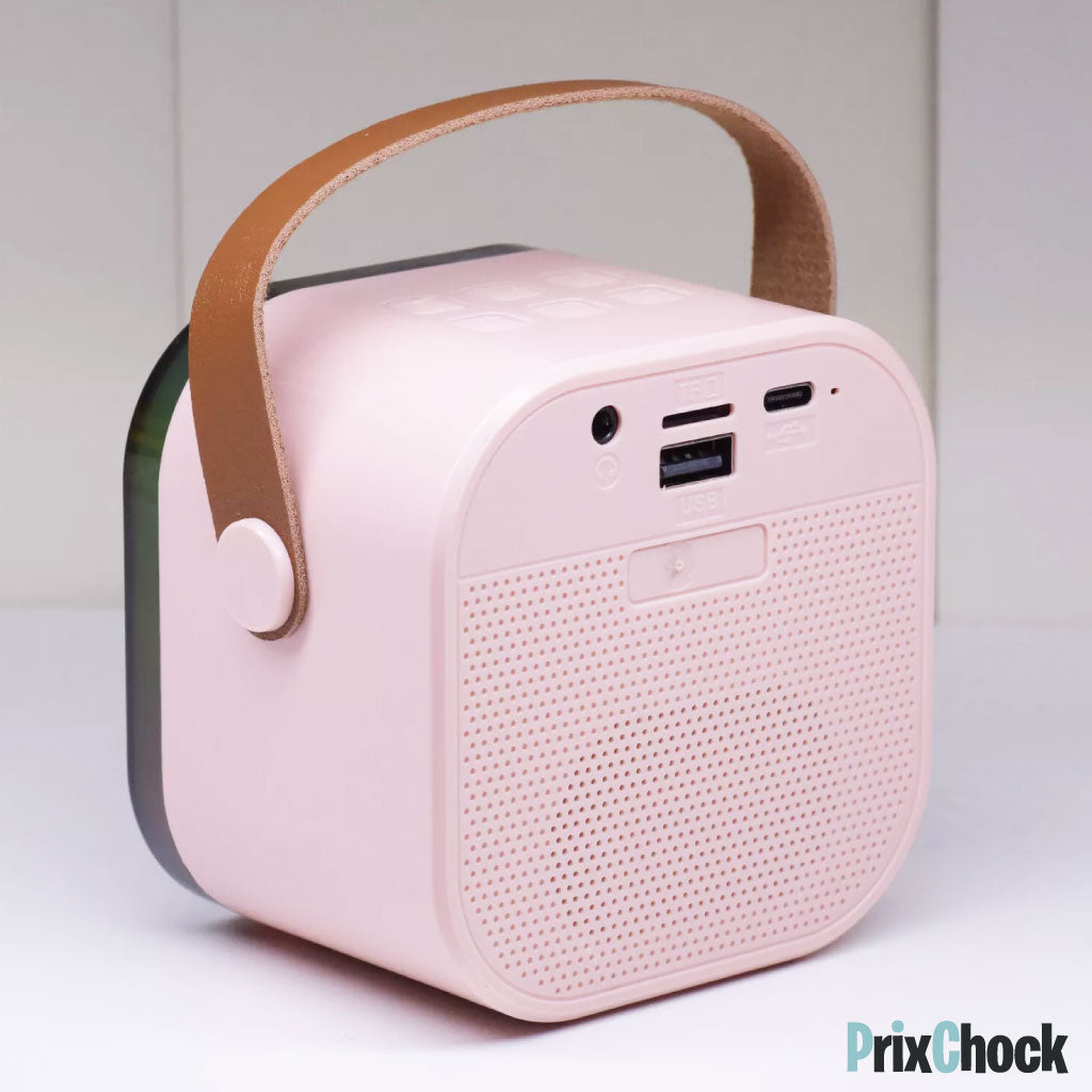 Mini-haut-parleur Portable Karaoké : Musique Et Amusement À Emporter Avec Deux Microphones