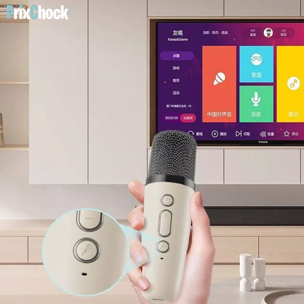 Mini-haut-parleur Portable Karaoké : Musique Et Amusement À Emporter Avec Deux Microphones
