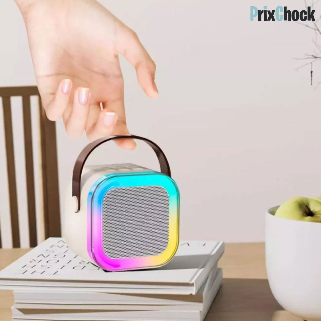 Mini-haut-parleur Portable Karaoké : Musique Et Amusement À Emporter Avec Deux Microphones