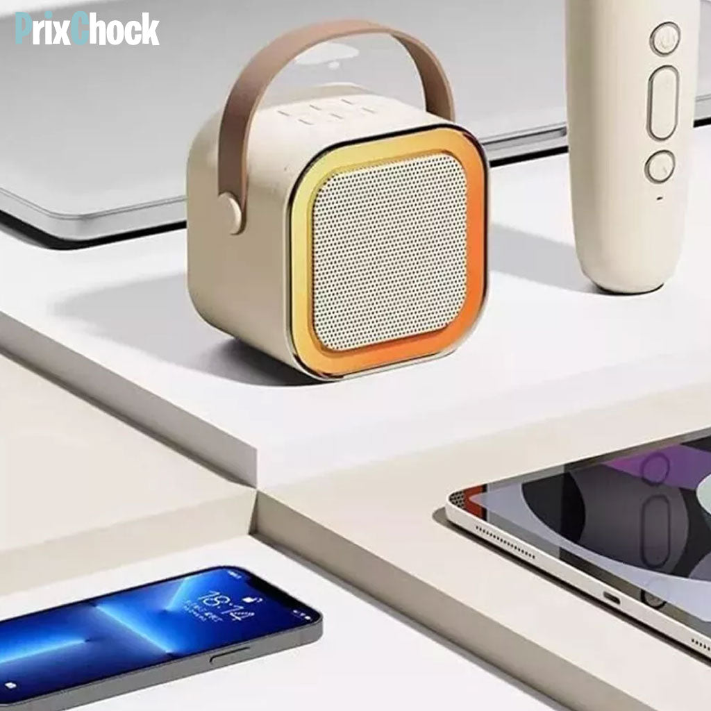 Mini-haut-parleur Portable Karaoké : Musique Et Amusement À Emporter Avec Deux Microphones