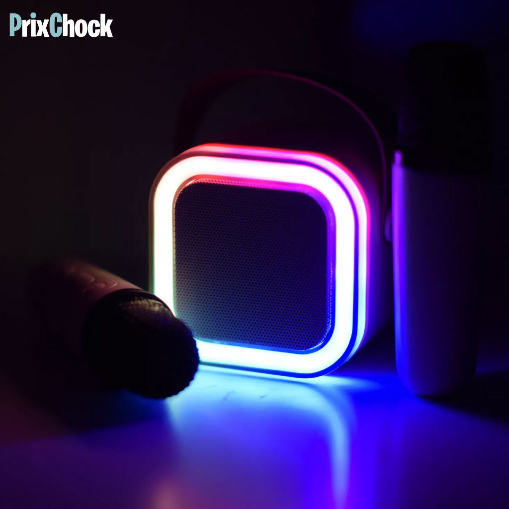 Mini-haut-parleur Portable Karaoké : Musique Et Amusement À Emporter Avec Deux Microphones
