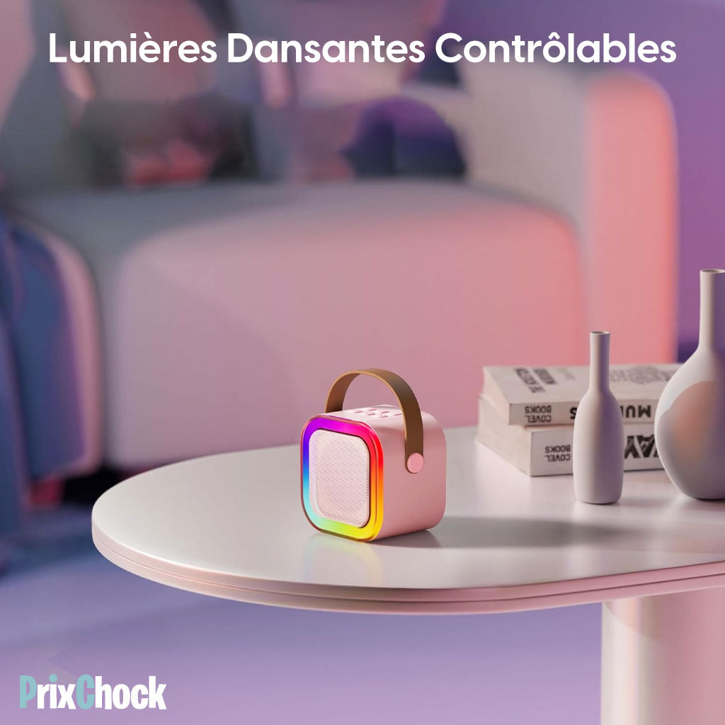 Mini-haut-parleur Portable Karaoké : Musique Et Amusement À Emporter Avec Deux Microphones