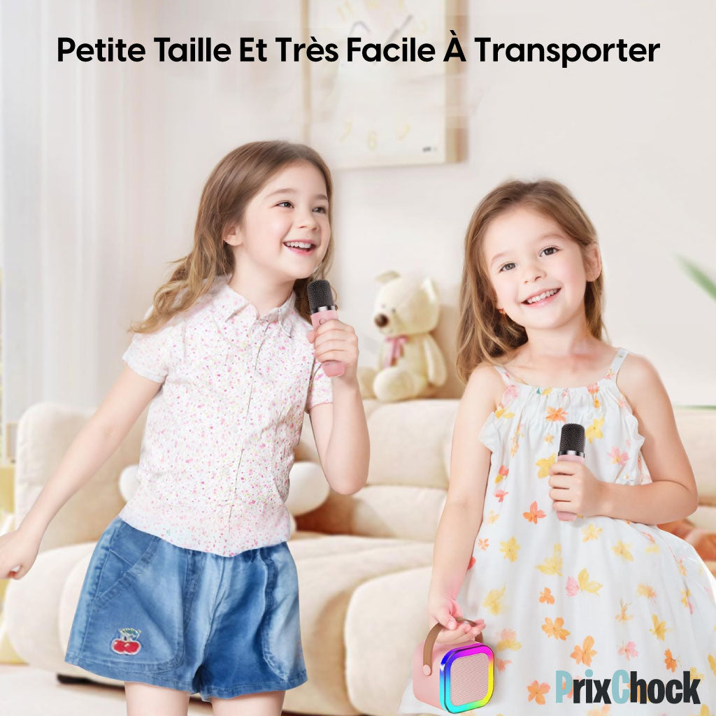 Mini-haut-parleur Portable Karaoké : Musique Et Amusement À Emporter Avec Deux Microphones