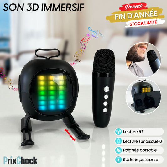 Mini-haut-parleur Portable Karaoké Avec Microphone Haut Qualité
